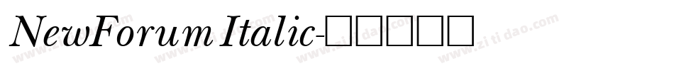 NewForum Italic字体转换